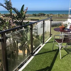 Palm Guest house